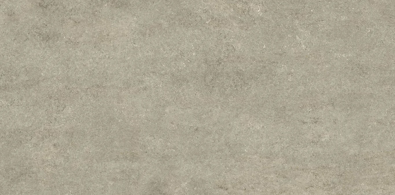 fossil ivory