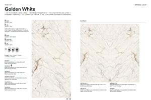 marazzi-book-goldenwhite.jpg