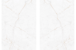 Dual-white-bookmarch.png