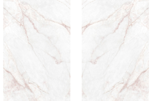 dahlia-white-bookmarch.png