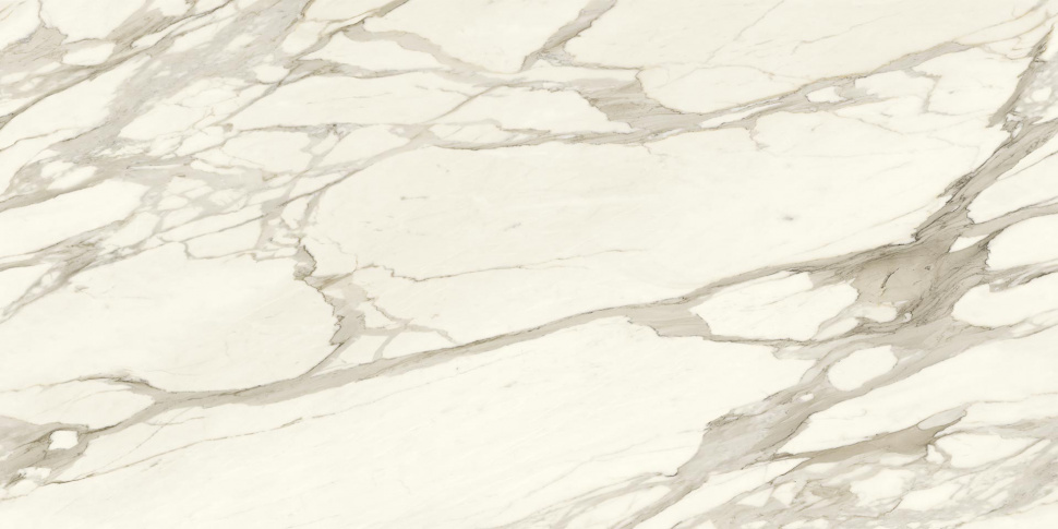 calacatta borghini